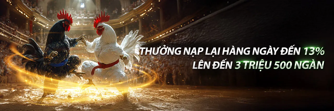Sân vận động thể thao lớn với khán đài đầy ắp người hâm mộ và ánh đèn rực rỡ, tượng trưng cho sự sôi động của cá cược thể thao TBK68